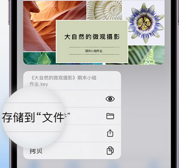 湘阴apple维修中心分享iPhone文件应用中存储和找到下载文件