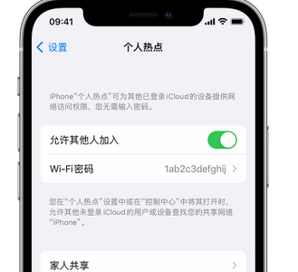 湘阴apple服务站点分享iPhone上个人热点丢失了怎么办 