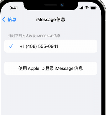 湘阴apple维修iPhone上无法正常发送iMessage信息 