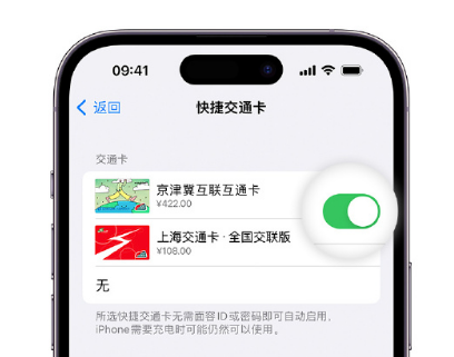 湘阴apple维修点分享iPhone上更换Apple Pay快捷交通卡手绘卡面 