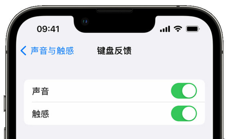 湘阴苹果手机维修分享iPhone 14触感键盘使用方法 