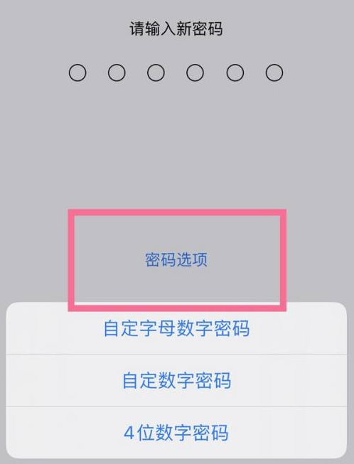 湘阴苹果14维修分享iPhone 14plus设置密码的方法 