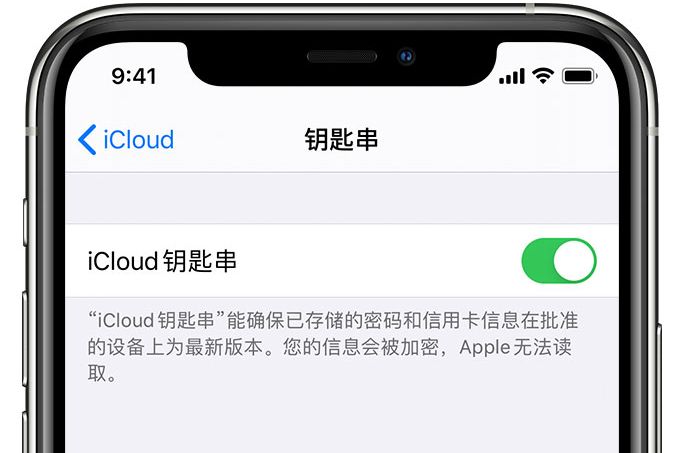 湘阴苹果手机维修分享在 iPhone 上开启 iCloud 钥匙串之后会储存哪些信息 