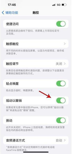 湘阴苹果手机维修分享iPhone手机如何设置摇一摇删除文字 